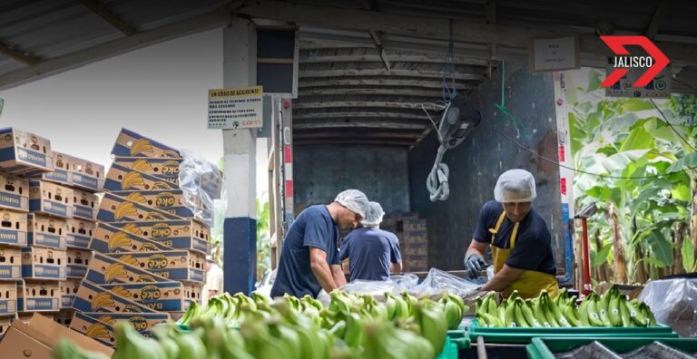 Corredor del Bienestar Pacífico apunta a ser el más competitivo de México